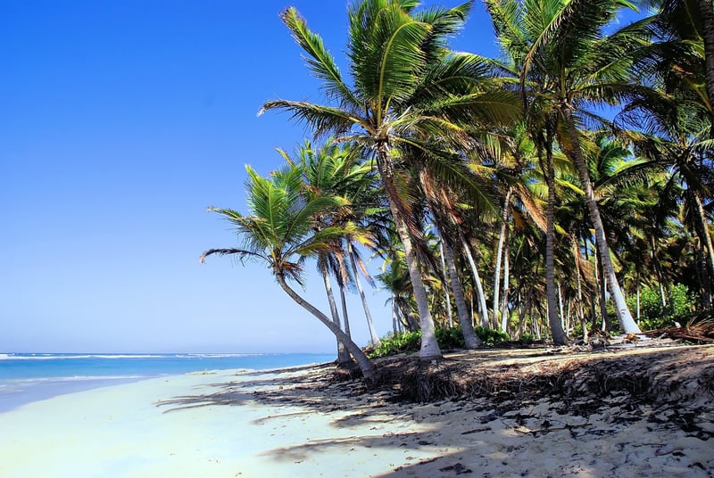 Club Med Punta Cana